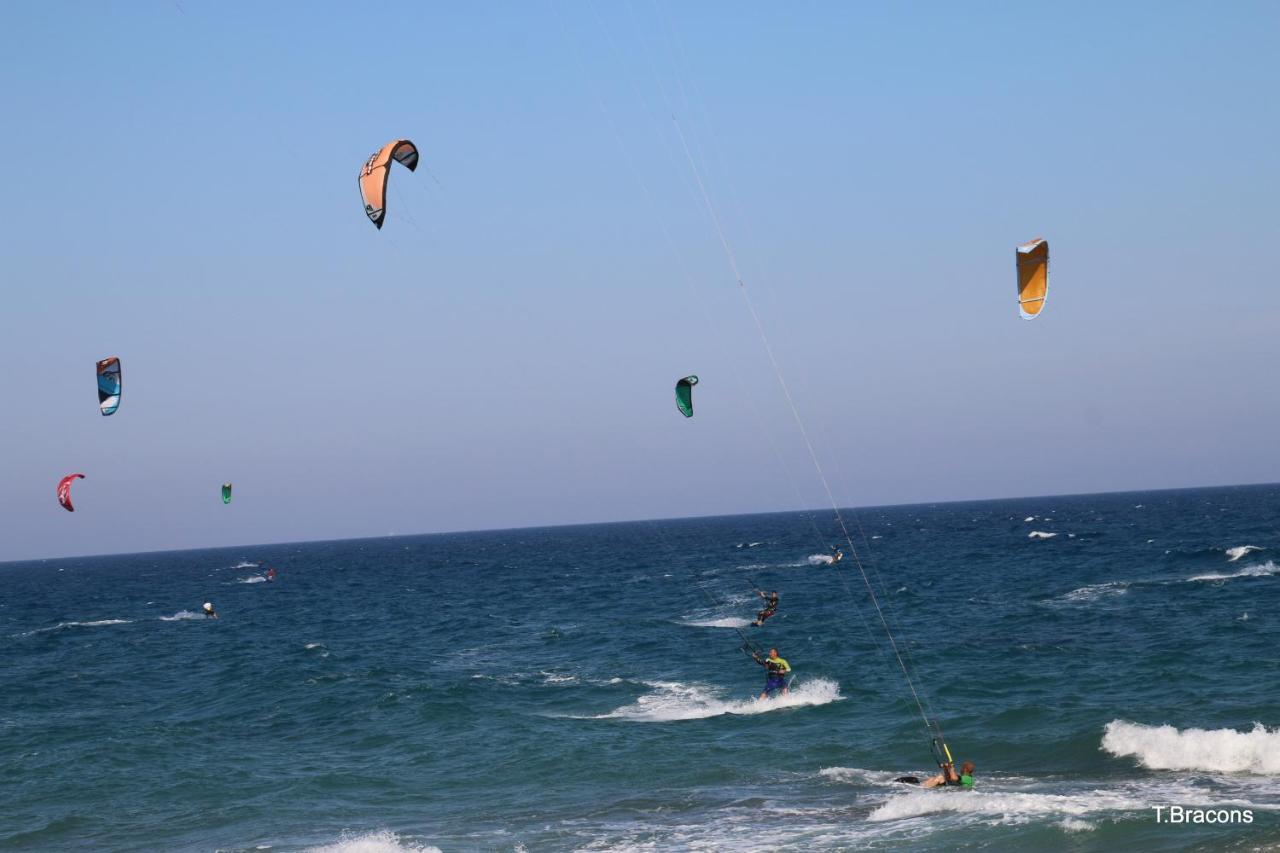 Miami Playa Los Pelicanos מראה חיצוני תמונה