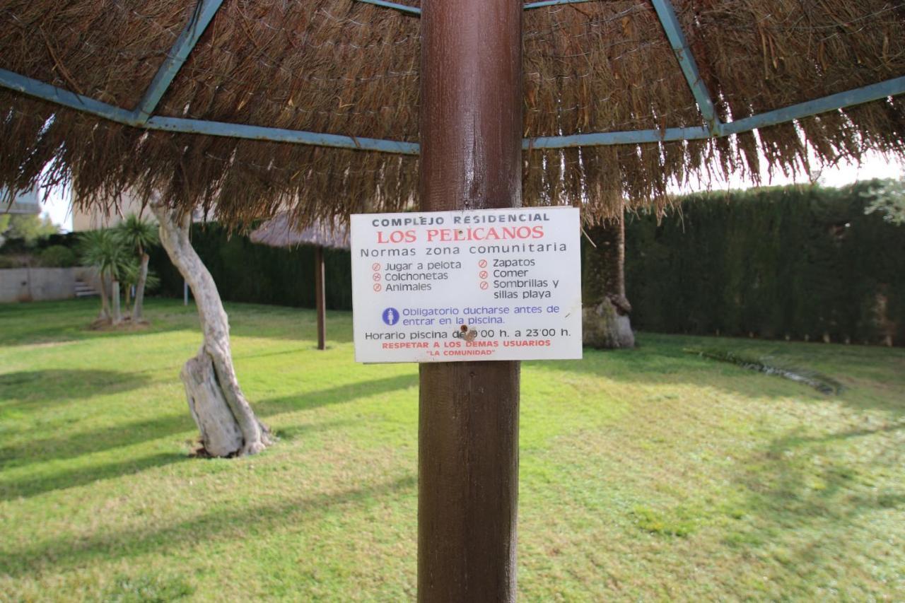 Miami Playa Los Pelicanos מראה חיצוני תמונה
